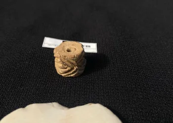 MÖ. 3400 yıla ait silindirik mühür sergilendi