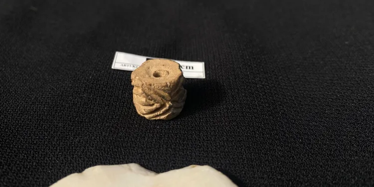 MÖ. 3400 yıla ait silindirik mühür sergilendi