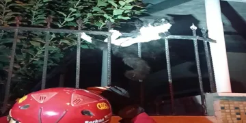 Demir korkuluklara sıkışan kediyi itfaiye kurtardı