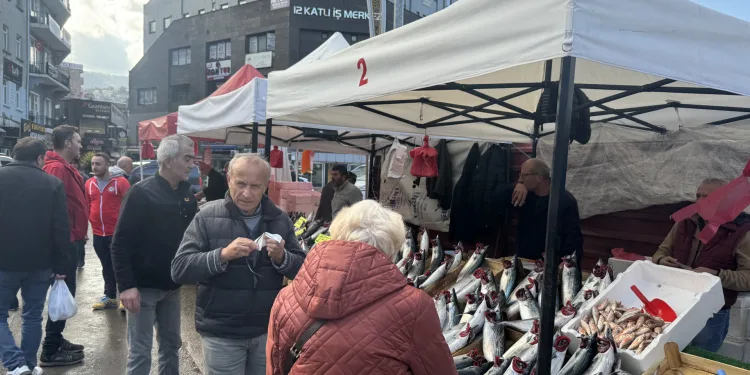 Palamut fiyatı düştü, vatandaş ilgi gösterdi