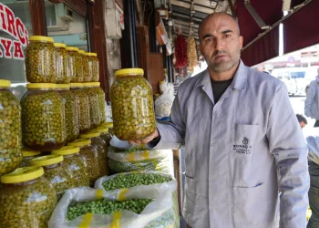 Yeşil zeytinler tezgaha indi