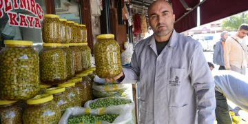 Yeşil zeytinler tezgaha indi