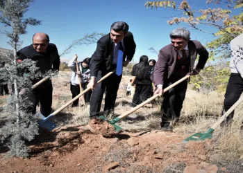 Akdağmadeni ormanları sonbahar renklerine büründü