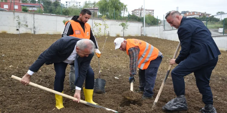 Okullarda meyve ağaçları yetiştirilecek