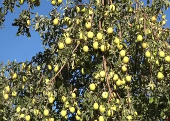 56 öğrencinin kaleme aldığı şiir kitabı yayınlandı
