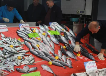 Hava şartları balık fiyatlarını etkiledi