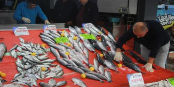 Hava şartları balık fiyatlarını etkiledi