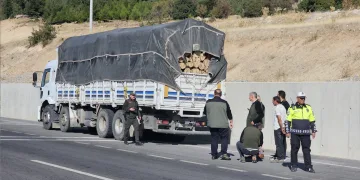Orman suçlarına karşı denetimler sıkılaştırıldı