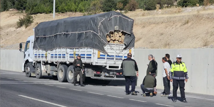 Orman suçlarına karşı denetimler sıkılaştırıldı