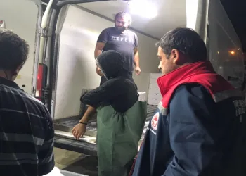 İskelede ‘Hamsi’ denetimi yapıldı