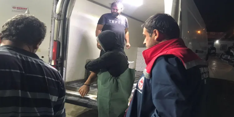 İskelede ‘Hamsi’ denetimi yapıldı