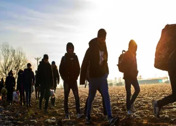 Milas’ta 6 düzensiz göçmen yakalandı