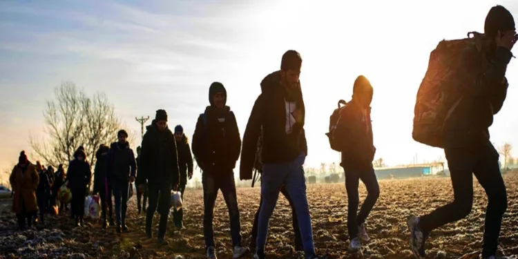 Milas’ta 6 düzensiz göçmen yakalandı