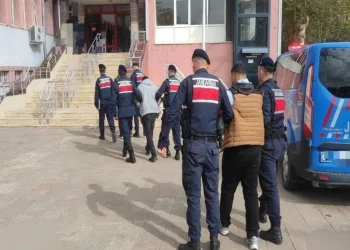 Titiz çalışma sonuç verdi, hayvanlar sahibine ulaştırıldı