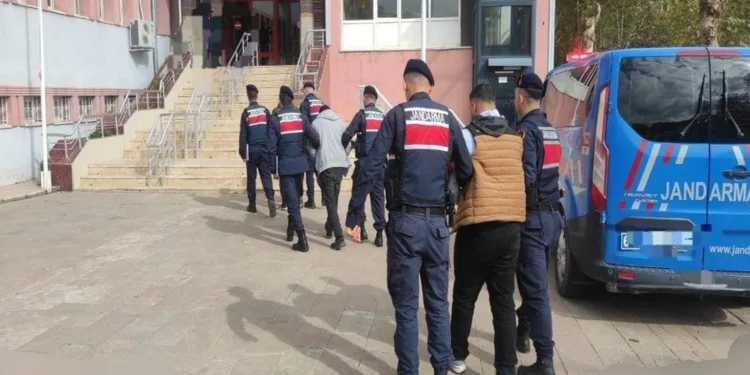 Titiz çalışma sonuç verdi, hayvanlar sahibine ulaştırıldı