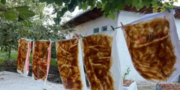 Cevizli sucuk mesaisi başladı