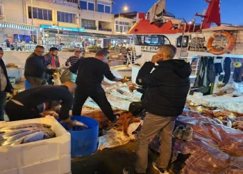 Balıkçıların ağına 800 çift palamut takıldı