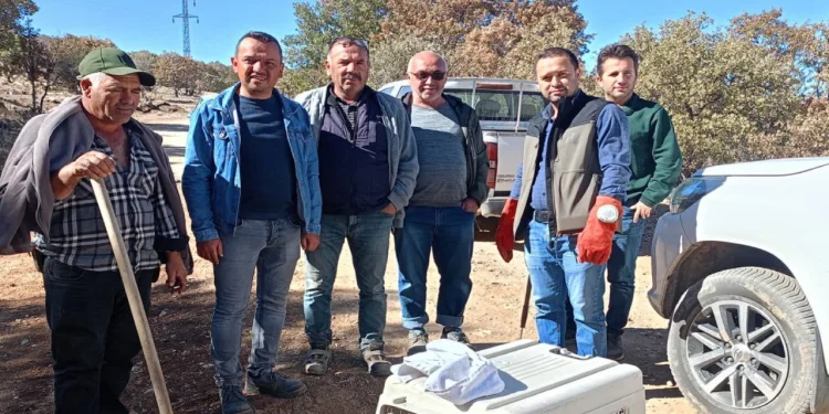 Yaralı halde bulunan hayvanlar koruma altına alındı