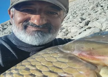 Amatör balıkçı, 20 kiloluk sazan yakaladı