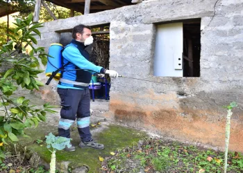 Römorkörler ilgi odağı oldu