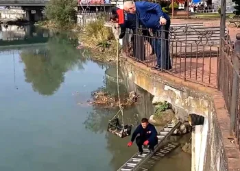 Çaya düşen kedi