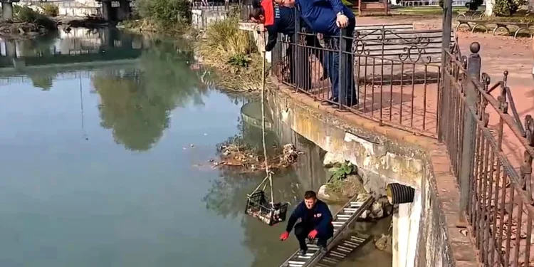 Çaya düşen kedi
