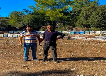 Gökbel’de kovan tespit çalışmaları sürüyor