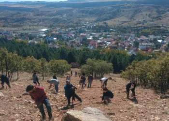Bin meşe palamudu toprakla buluşturuldu
