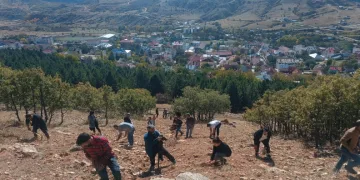 Bin meşe palamudu toprakla buluşturuldu