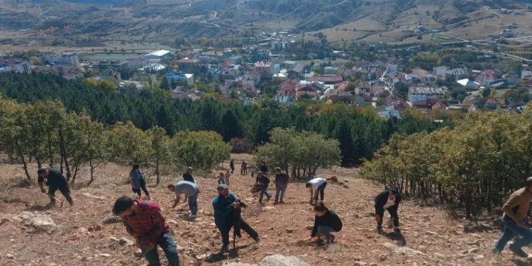 Bin meşe palamudu toprakla buluşturuldu