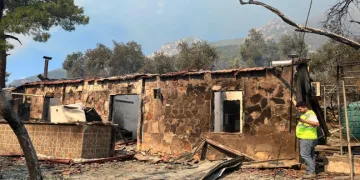 “Yaraları birlikte saracağız”