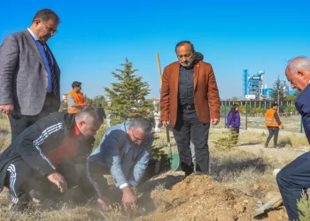 Cumhuriyet’in 101’nci yılına özel 101 meşe fidanı