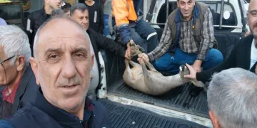 Dereye düşen karacayı vatandaşlar kurtardı