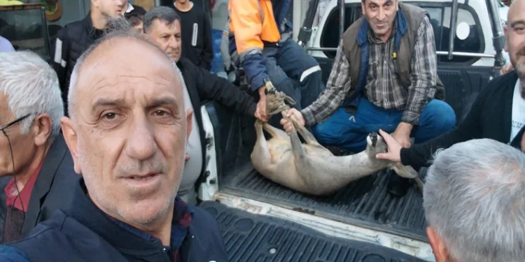 Dereye düşen karacayı vatandaşlar kurtardı