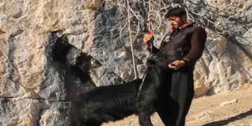 Riskli binalar ‘Yarısı Bizden Kampanyası’ ile yenileniyor