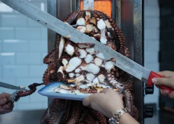 Yeni lezzet: Ahtapot döner