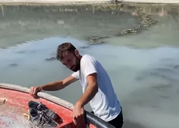 Motorlu kayıkla açılan 4 kişi çamura saplandı