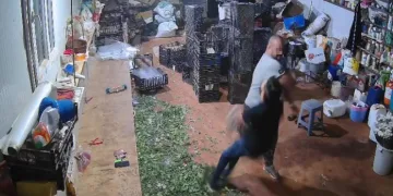 Tek yumrukla komalık oldu