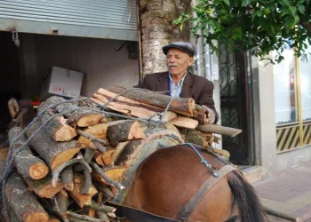 Aydın’da geleneksel kış hazırlıkları başladı