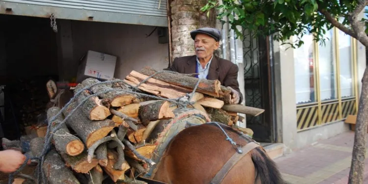 Aydın’da geleneksel kış hazırlıkları başladı