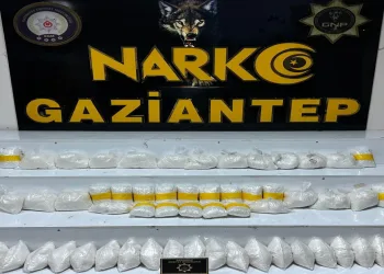 123 kilo skunk ve metamfetamin ele geçirildi