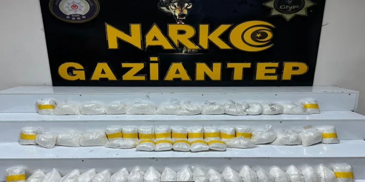 123 kilo skunk ve metamfetamin ele geçirildi