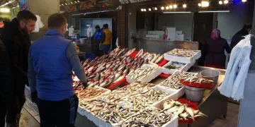 Palamudun fiyatı arttı