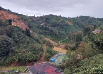 Rize’de heyelan