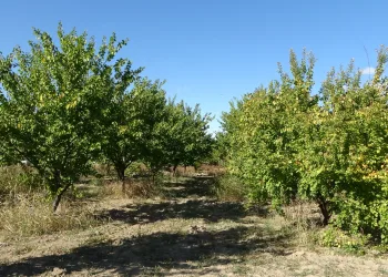 Üreticiler için önemli uyarı