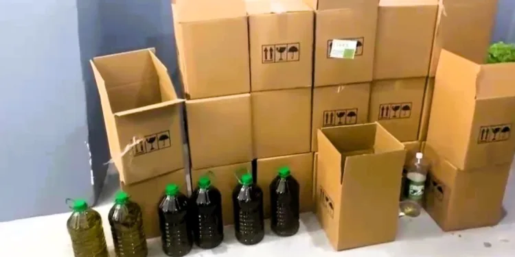 Tamirhanede pamuk ve soya yağlarından sahte zeytinyağı ürettiler