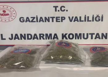 1 kilo esrar ele geçirildi