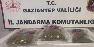 1 kilo esrar ele geçirildi