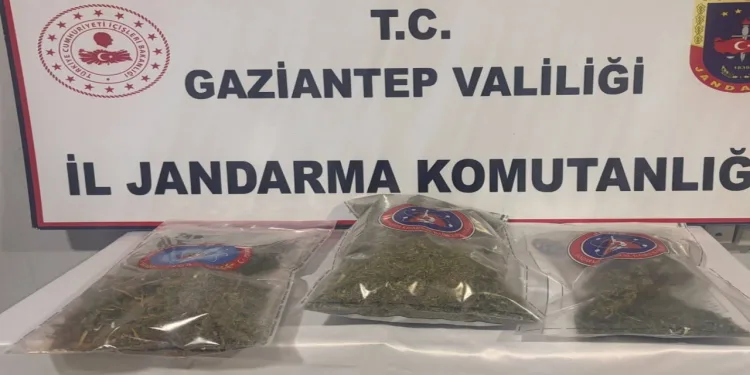 1 kilo esrar ele geçirildi