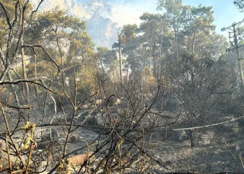 Yangın’ın çıkış noktası araştırılıyor